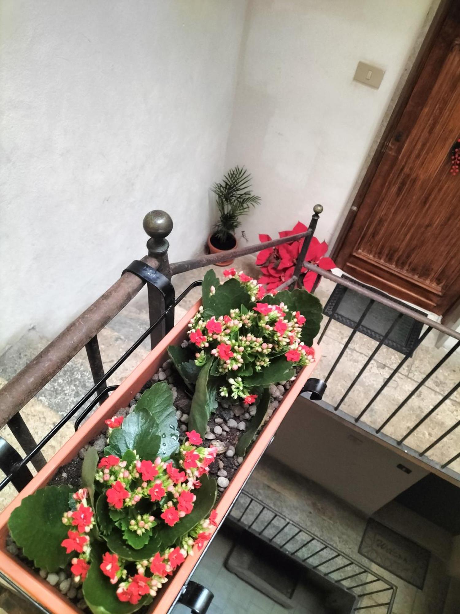 La Conchiglia Tra I Due Mari Trapani Exterior foto